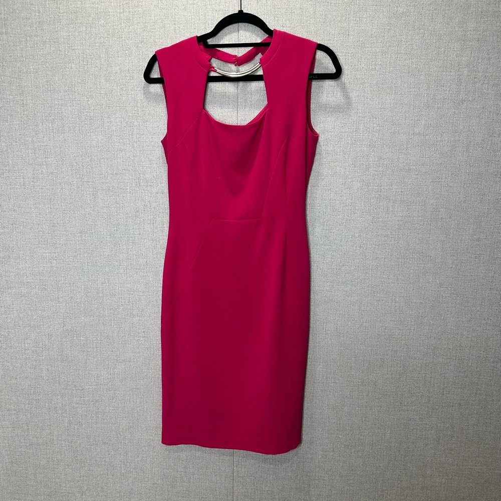 BCBG Pink Women’s Dress